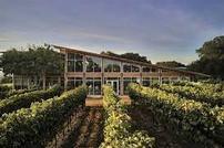 William Chris Vineyards in Hye, TX - Wine Tasting for 6 202//134